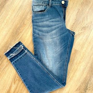 Prosperity Skinny Jeans (Stitch Fix)